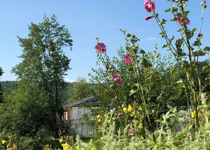 Tamanga Lebensgarten Von Ruediger Dahlke منتجع غامليتز