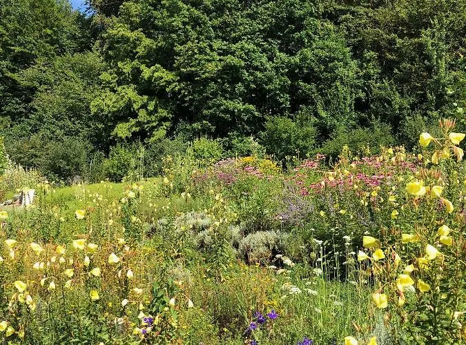 Tamanga Lebensgarten Von Ruediger Dahlke * غامليتز